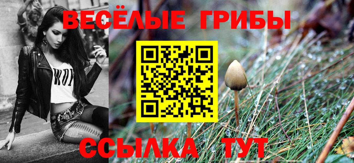 Кропоткин  Галлюциногенные грибы Cubensis  Вход с VPN 